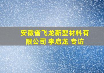 安徽省飞龙新型材料有限公司 李启龙 专访